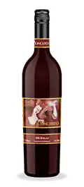 2017 Concerto Shiraz
